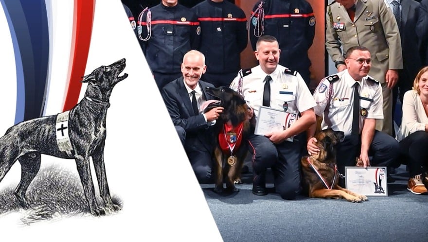 La sécurité privée honorée lors des Trophées des Chiens Héros