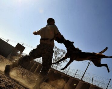 Dix idées reçues sur les métiers de la sécurité privée