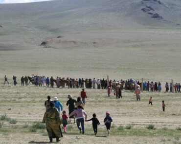 Sécurité et immigration : les migrants afghans en France