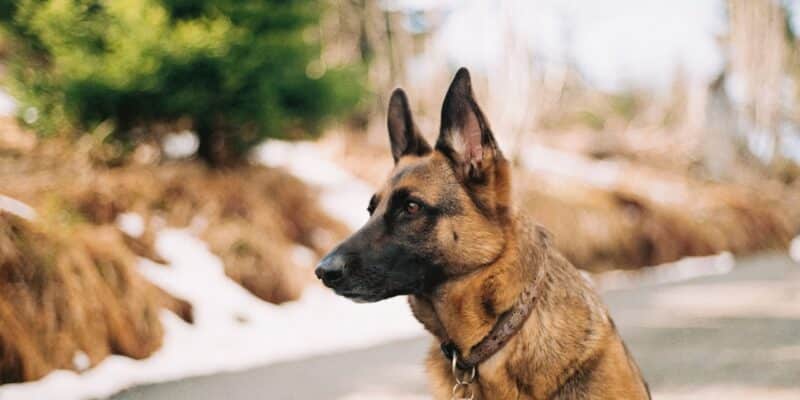 Le CNAPS fait preuve de fermeté.